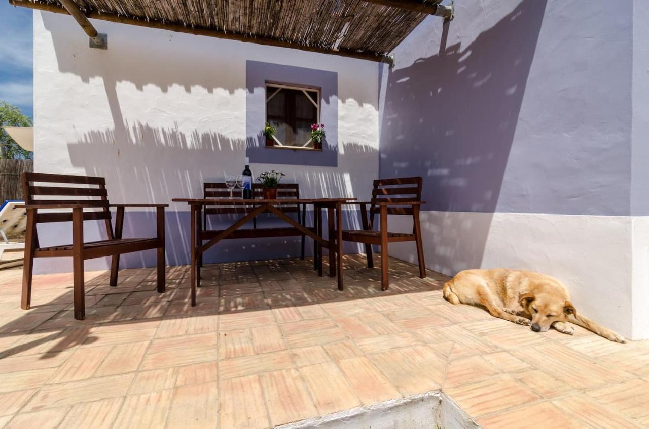 Casas Na Vinha - Monte Da Casteleja, Wine Estate - Eco Turismo Rural Лагуш Екстер'єр фото