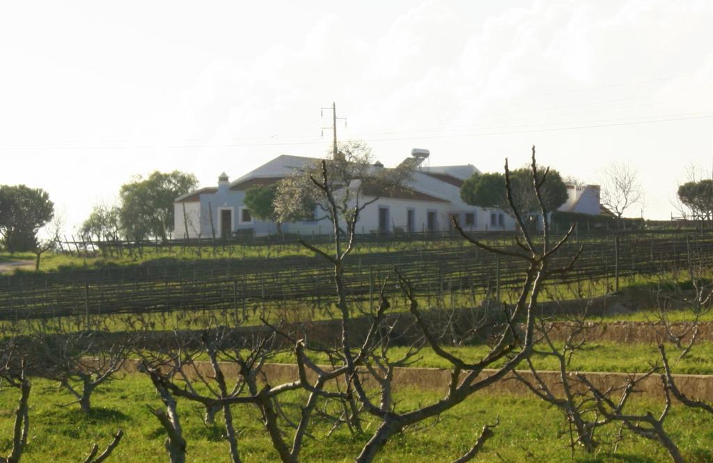 Casas Na Vinha - Monte Da Casteleja, Wine Estate - Eco Turismo Rural Лагуш Екстер'єр фото